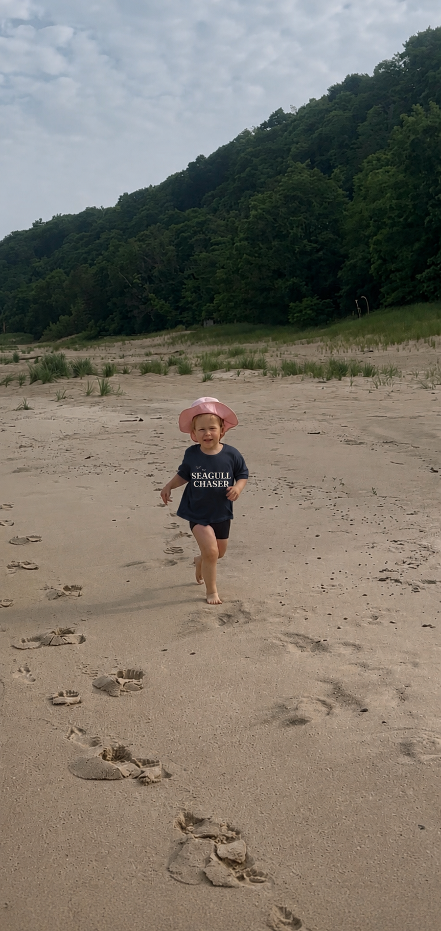 Seagull Chaser Youth tee